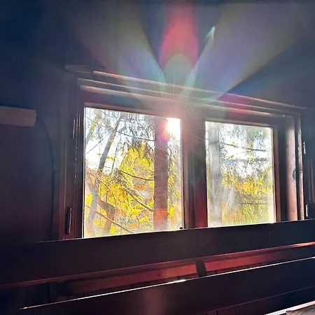Hotel Branszczyk, Stare Budy-natura 2000, Las, Rzeka