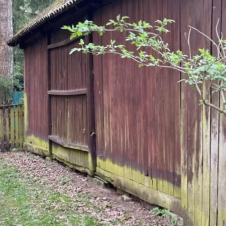 Branszczyk, Stare Budy-natura 2000, Las, Rzeka Hotel Branszczyk