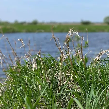 Branszczyk, Stare Budy-natura 2000, Las, Rzeka Branszczyk