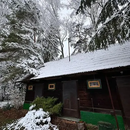 Branszczyk, Stare Budy-natura 2000, Las, Rzeka Hotel