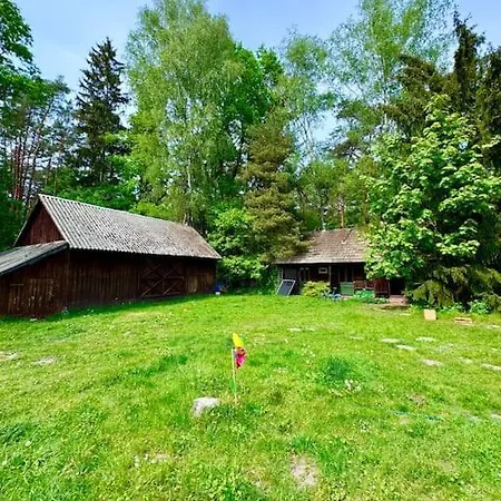 Branszczyk, Stare Budy-natura 2000, Las, Rzeka Hotel Branszczyk