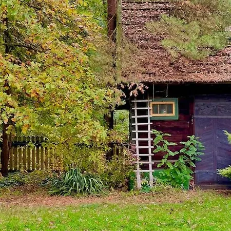 Hotel Branszczyk, Stare Budy-natura 2000, Las, Rzeka 3*