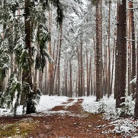 Hotel Branszczyk, Stare Budy-natura 2000, Las, Rzeka Branszczyk