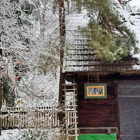 Branszczyk, Stare Budy-natura 2000, Las, Rzeka Branszczyk