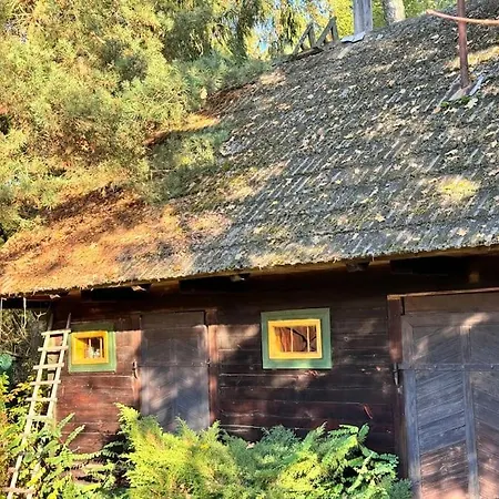Branszczyk, Stare Budy-natura 2000, Las, Rzeka